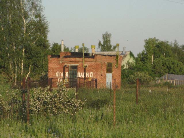 дача в деревне в Подмосковье по Ярославскому шоссе